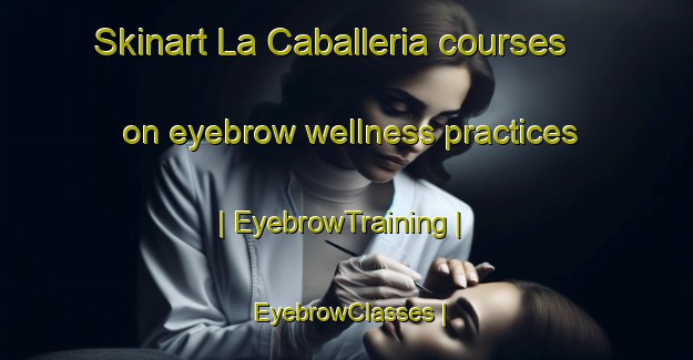 Skinart La Caballeria courses on eyebrow wellness practices | EyebrowTraining | EyebrowClasses | SkinartTraining-Mexico